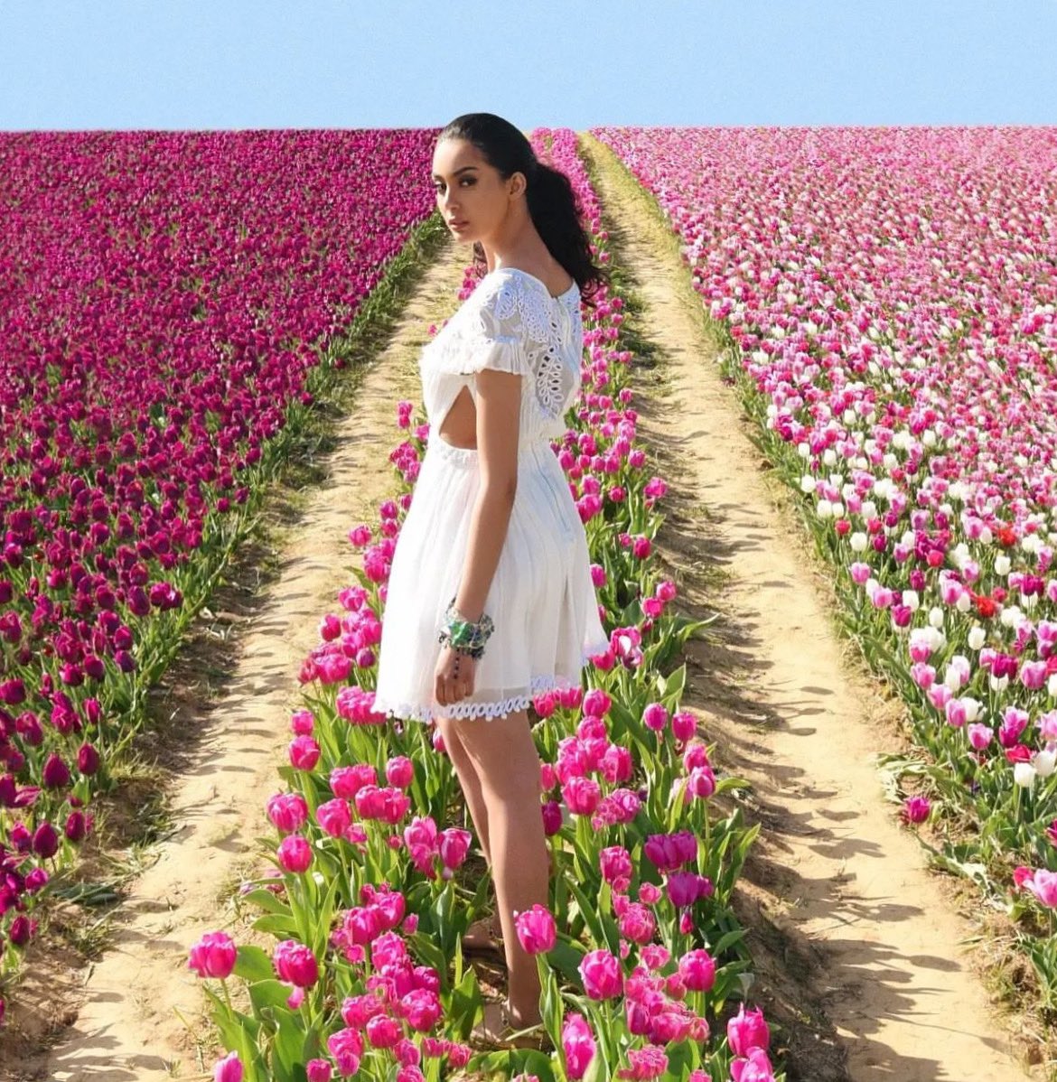 Richards Radcliffe tweet media