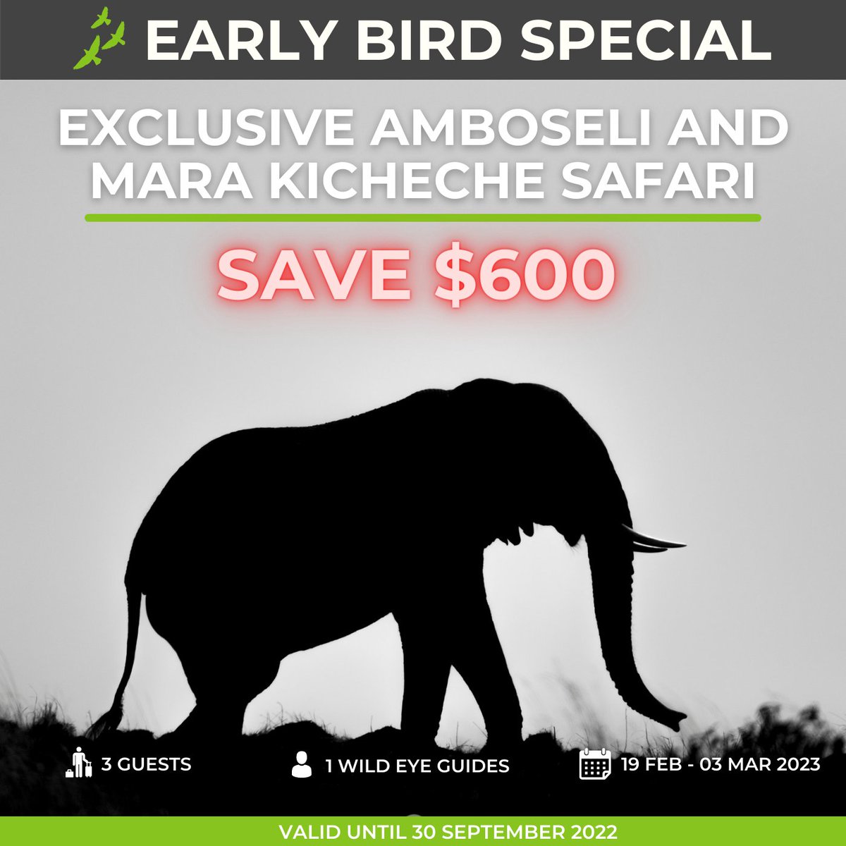 A one of a kind safari experience combining two of the best photographic destinations in Kenya - Amboseli and the Masai Mara!

Check out our Early Bird Special!
wild-eye.com/product/exclus…

#Africa #Travel #BucketList #Kenya #Big5 #Wildlife #Safari  #EarlyBird #MasaiMara #Amboseli