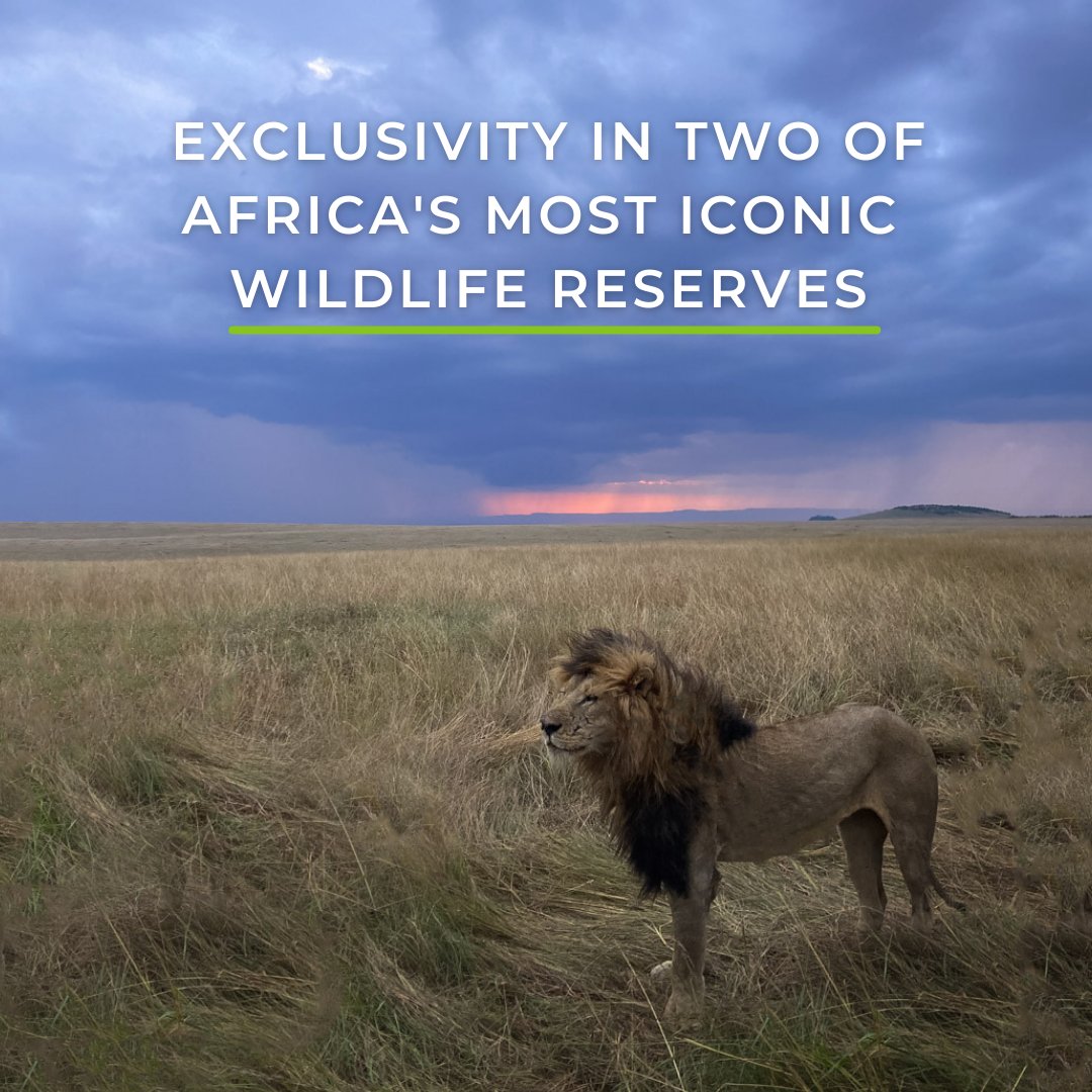 Wild Eye tweet media