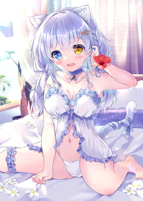 オッドアイちゃん 