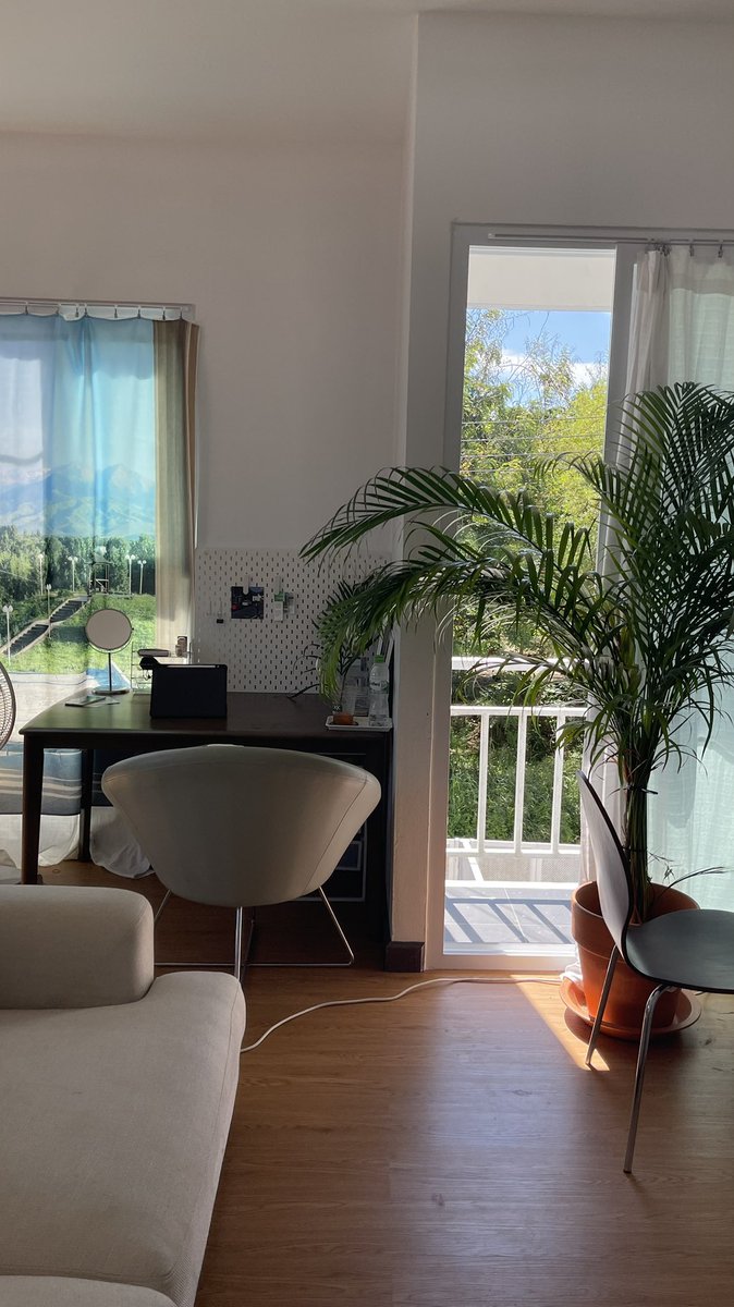 ppqqppqppq's tweet image. 🫶🏼