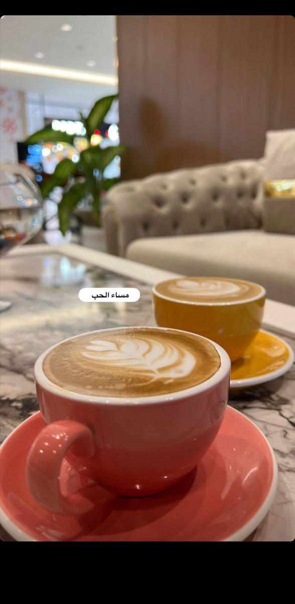 f6toom (@2002alyasmeen) on Twitter photo 