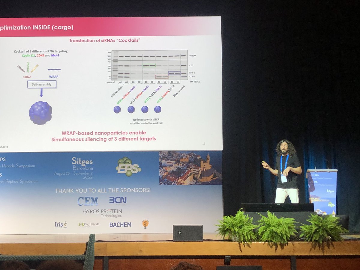 PBoisguerin's tweet photo. Nice talk from Sébastien Deshayes presenting our results at the 36th EPS at Sitges @EurPepSoc https://t.co/rhZMPAHYHz