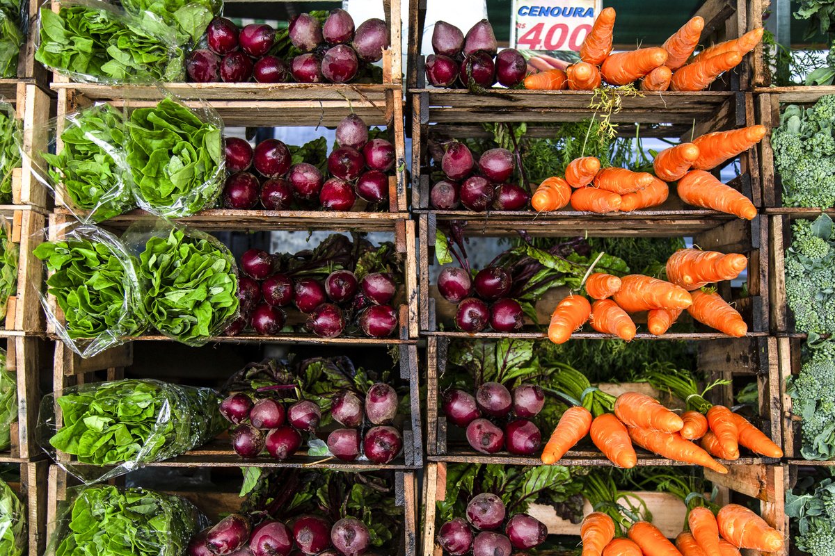 FAOSocioEcon's tweet photo. #NowReading Methods and options to monitor the cost and affordability of a healthy diet globally 🍽️🍎🥕🥦🥚🥛

Background paper for The State of Food Security and Nutrition in the World 2022 #SOFI2022

📙https://t.co/mMW2N1pbCV

#HealthyDiets https://t.co/ywMgaeEmLP
