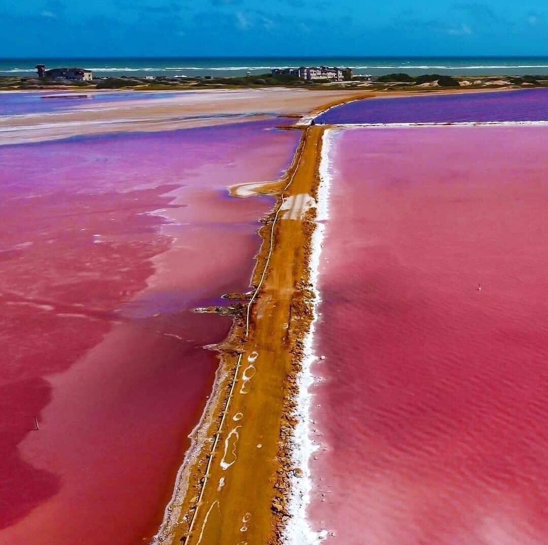 GianlucaCoccon1's tweet photo. Espectaculares…
SALINAS de Las CUMARAGUAS, Península de Paraguaná…Edo Falcón 🇻🇪🇻🇪🇻🇪🇻🇪🇻🇪🇻🇪🇻🇪🇻🇪🇻🇪🇻🇪 https://t.co/TvDXbbfHjC