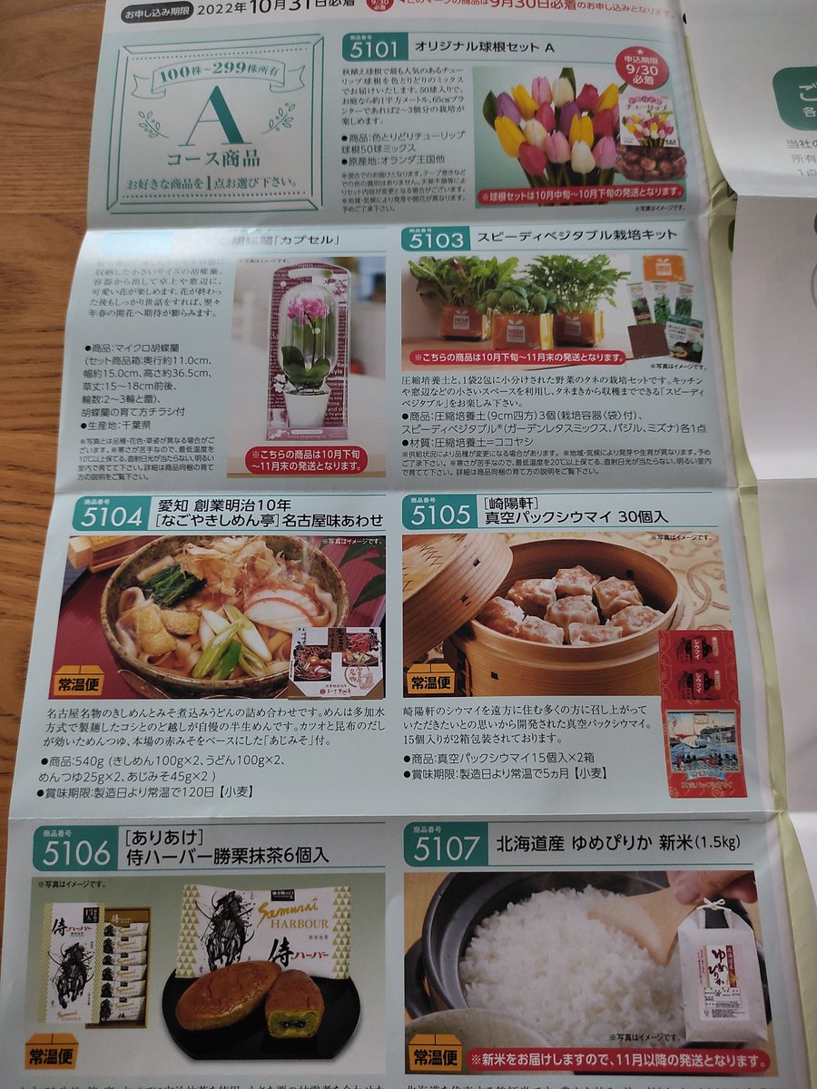 マイクロ胡蝶蘭