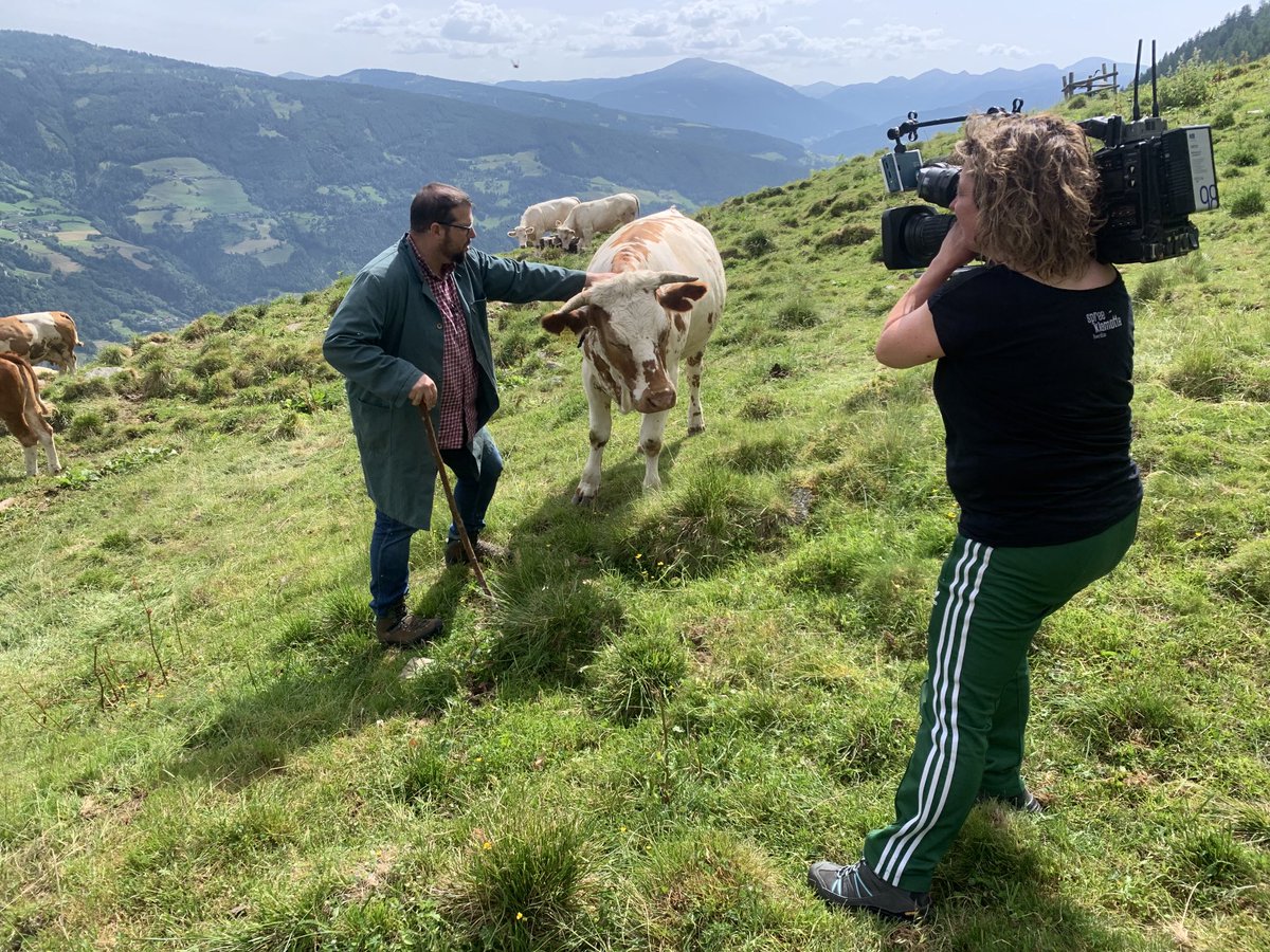 leave X (@bbrihil) on Twitter photo In #Österreich kennen sie ihn als <a href="/PetutschnigHons/">Petutschnig Hons</a>, wir haben auch Wolfgang Feistritzer kennen gelernt. Heute im @zdf #Mittagsmagazin <a href="/ZDF/">ZDF</a>wien @wc_ulrich <a href="/Rosinnjo/">Rosi Rosinger</a> In #Österreich kennen sie ihn als <a href="/PetutschnigHons/">Petutschnig Hons</a>, wir haben auch Wolfgang Feistritzer kennen gelernt. Heute im @zdf #Mittagsmagazin <a href="/ZDF/">ZDF</a>wien @wc_ulrich <a href="/Rosinnjo/">Rosi Rosinger</a>