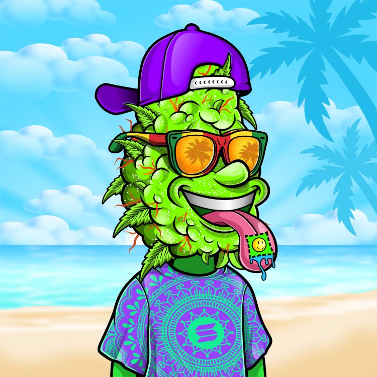 NFT_Enthusiast 🟠 tweet media