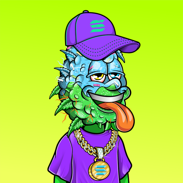 NFT_Enthusiast 🟠 tweet media