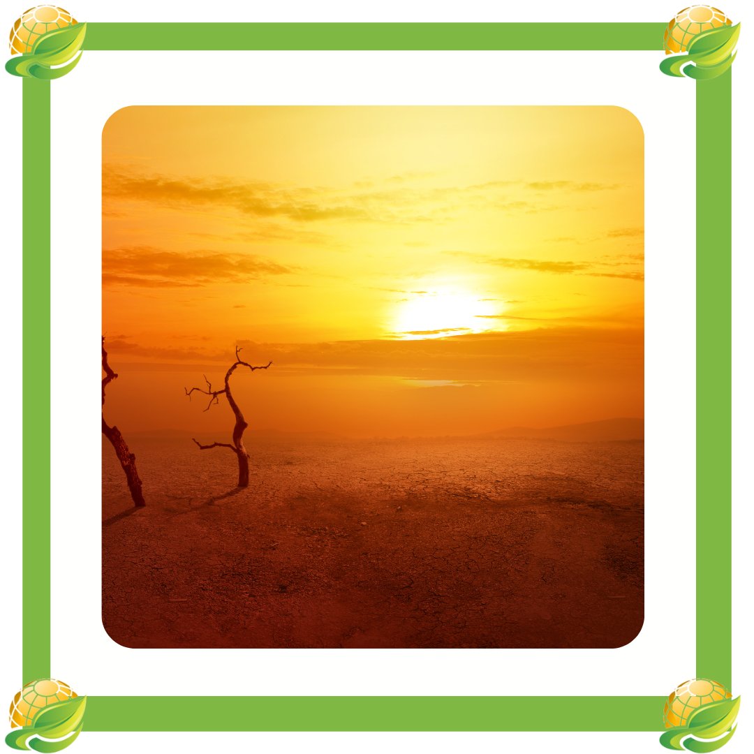 GreenActionSo's tweet photo. As global warming intensifies, we can expect the number of days with record high temperatures to increase. 

Human activities are a cause of the heat waves occurring globally. ☀️

#greenactionkenya #climatechange #heatwaves #drought #recordheat #extinctionrebellion #climateaction https://t.co/lLcP36F0Na