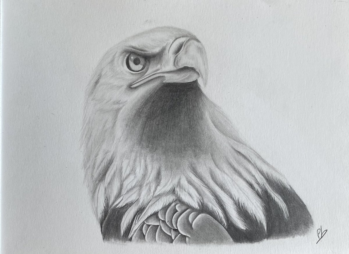 philantrhxpe's tweet photo. Aigle

#aigle #eagle #dessin #drawing #art #drawingwithadhd #realistic https://t.co/twoitUX7Na