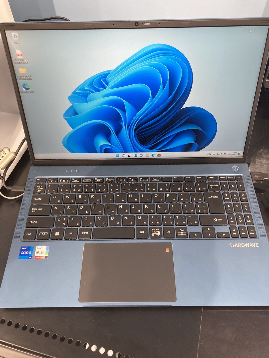 大型額装 壁掛け ケーキプレート Gカンテ チューリップブーケ 飾り皿