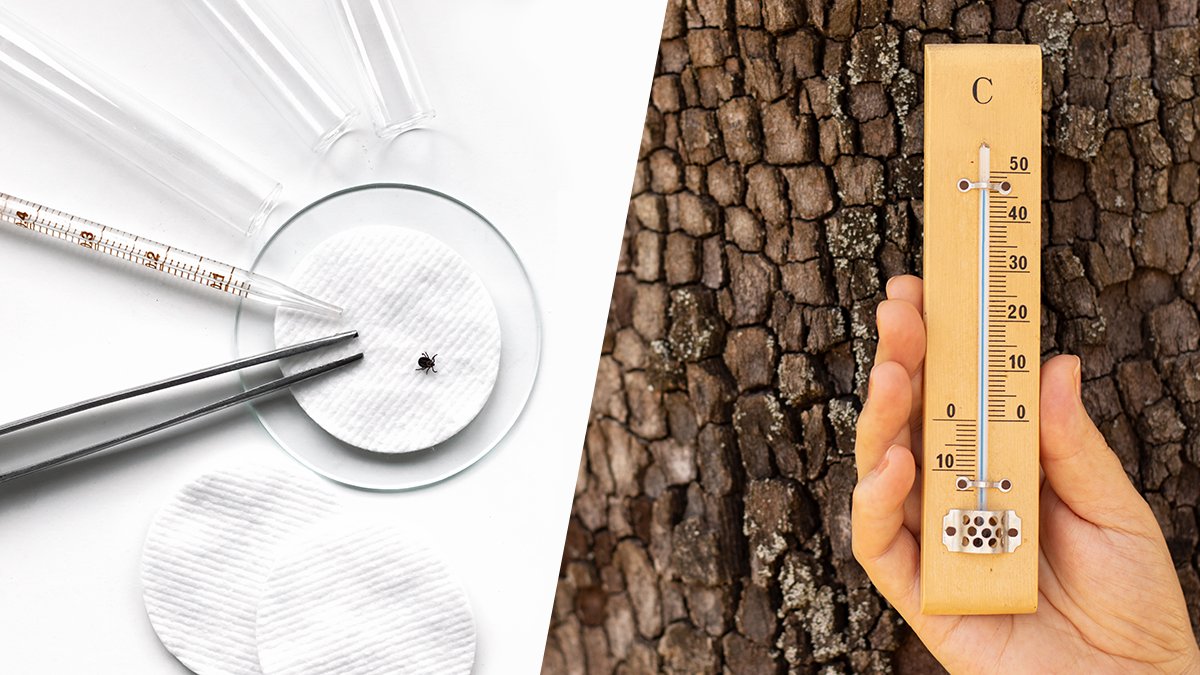 Gen_Re's tweet image. In collaboration with the Society of Actuaries and Columbia University, Gen Re researched the complex relationship between climate variables and the spread of Lyme disease (LD) in the U.S. Sarah Hogekamp summarizes the findings.
hubs.ly/Q01l8jLF0
#insuranceresearch