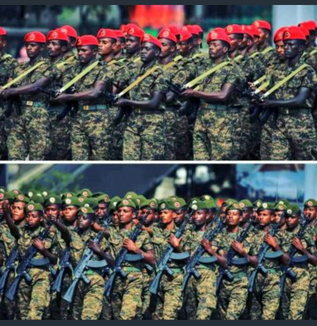 WagneMg's tweet photo. እኔ የሰራዊታችንን እንቅስቃሴ ማህበራዊ ሚዲያ ባለ መግለጽ ሃላፊነቴን  እወጣለሁ  አንቺስ❓ አንተስ 

#TPLFisTheCause 
#SayNoMore 
#pace4🇪🇹 https://t.co/S5DNrmvOWw