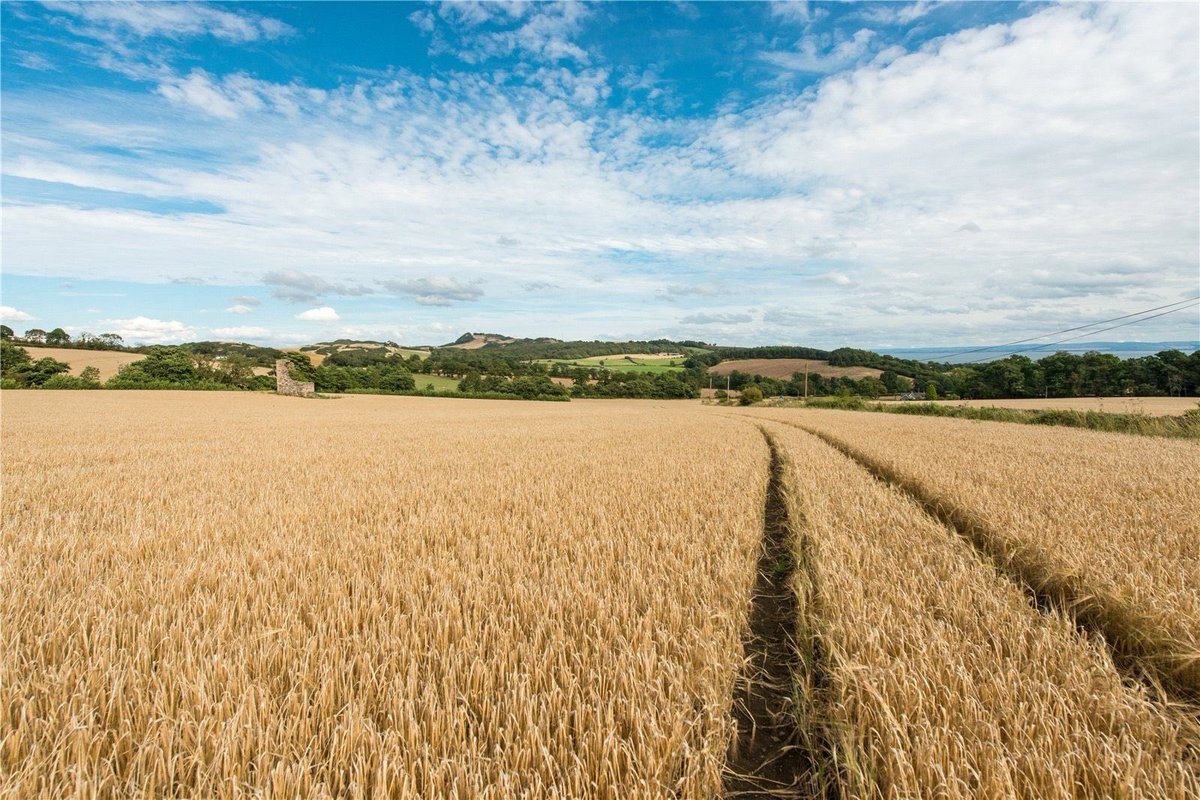 Galbraith_Rural's tweet photo. Land at Whitehill | Aberdour, Burntisland, KY3 0RW

🔸Arable land with area of woodland
🔹Excellent public road access
🔸Rural yet accessible location

For as a whole or in 2 Lots

📲 https://t.co/STZWNlmcsf

@Galbraith_STG | #LandForSale | #LandSale | #ArableLand | #Woodland https://t.co/F1wQxbc2DJ