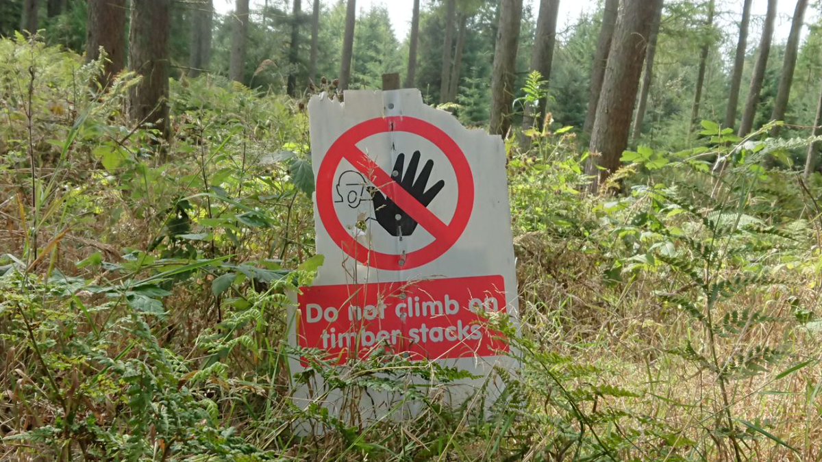 CloudForestHQ's tweet photo. Just wondering if anyone anywhere has a design aimed at children? Most children can climb before they can read. And I've yet to meet a child whose doesn't follow up an instruction with "Why?". https://t.co/Z4FanjbbXg