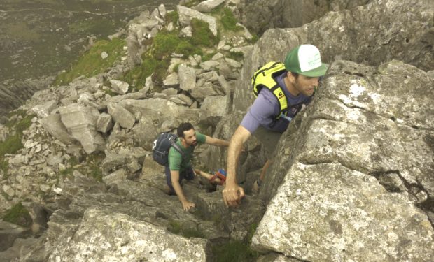 Cool of the Wild tweet media