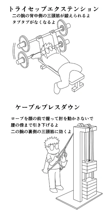 今日のトレ トライセップエクステンション30k10x3,35k7,6,5 ケーブルローププレスダウン30k10,40k7,35k10x3 ケーブルバープレスダウン35k10x3 クランチ前左右各40x3 フロント&サイドレイズ(片側4k201同3k20)x2 ケーブルフレンチ35k10x3 ちょい少なめの70分  #筋トレ #ダイエット