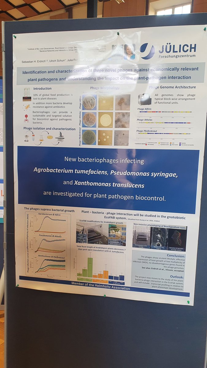 Borjana_A's tweet photo. Our poster on new #phages as potential 🌱 #biocontroll agents is up on #BT2022DBG. (Nr.178)
Also, 🛑 by if you care about small gnotobiotic systems (#EcoFAB) and non-invasive #phenotyping
☕️Right next to the coffee table😉
@SebastianPlants @FrunzkeLab @Uli_Twitt, @fz_juelich https://t.co/l8OlTeggT1