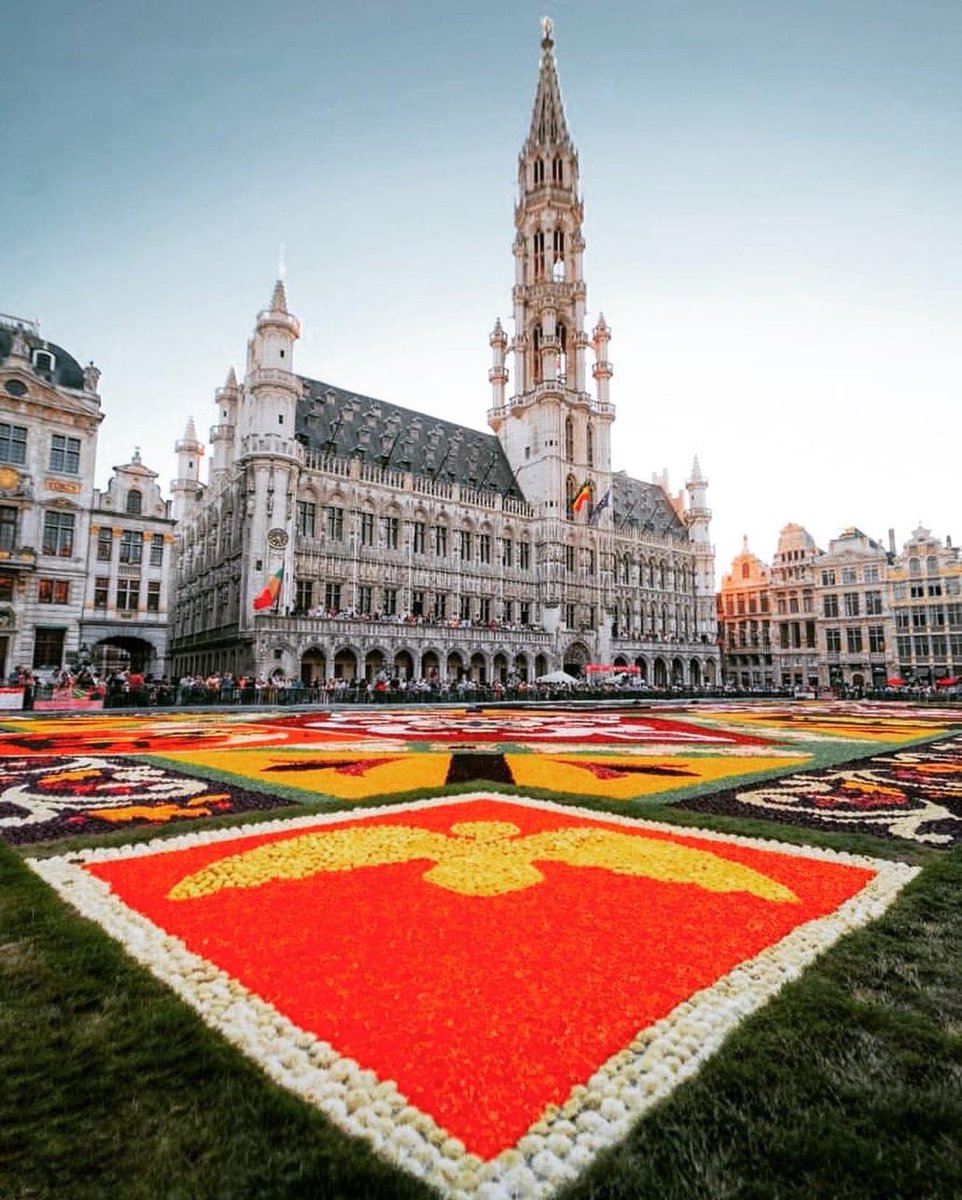 Maurice van Bokhoven tweet media