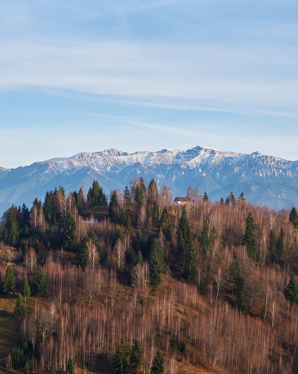 Cretu George-Paul tweet media