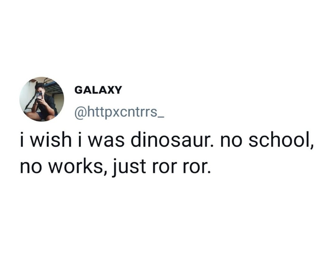 🐦‍⬛ tweet media