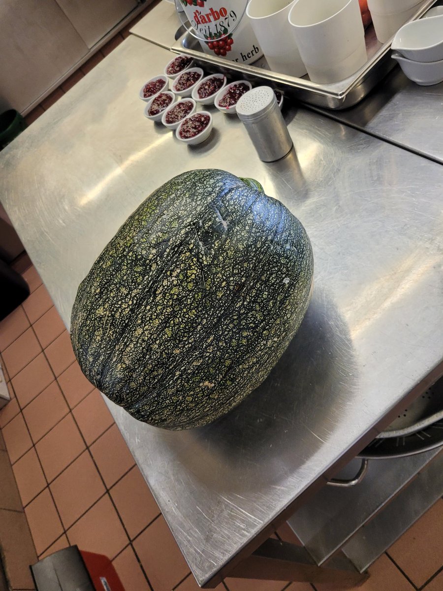 Ludwig58982115's tweet photo. a huge zucchini from my garden, it must be delicious🥰😎 #healthyvegetable #cookhealthy #vegetables #freshcooking #selfmade #homemade #cooking #easycooking #healthycooking #mycooking #garden @liz_juliet https://t.co/ECBs8LE7HB