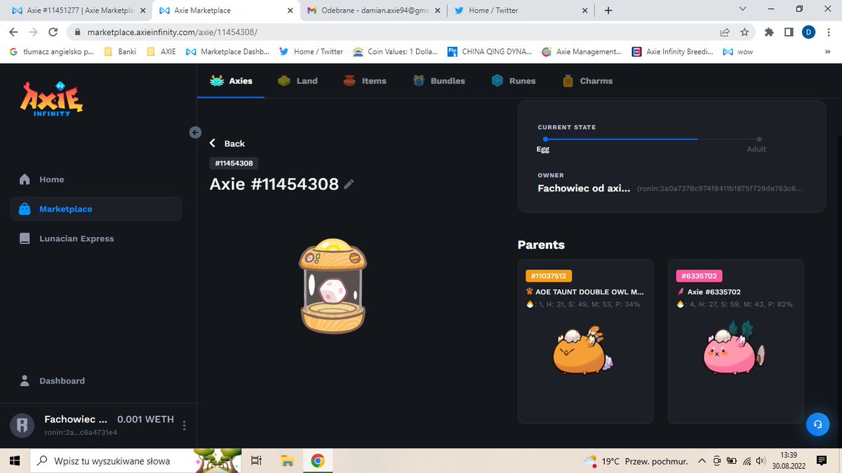 DamianAxie's tweet photo. what can come from this two parrent's ? :D this beast are very unique :D https://t.co/ZT22F2HMbo