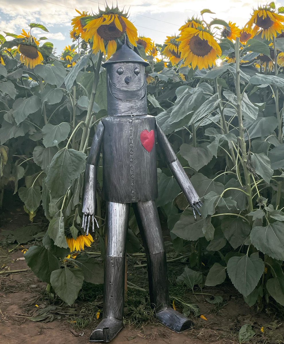 TheFedKayleigh's tweet photo. I hope you all had a wonderful bank holiday! I spent mine recharging the batteries and visiting the beautiful Sunflower fields right here in Durham! 🌻 

If you haven’t already been, I highly recommend a visit to the beautiful East Grange Farm 📍

#bankholiday #sunflowers https://t.co/zKZVOTWgMC