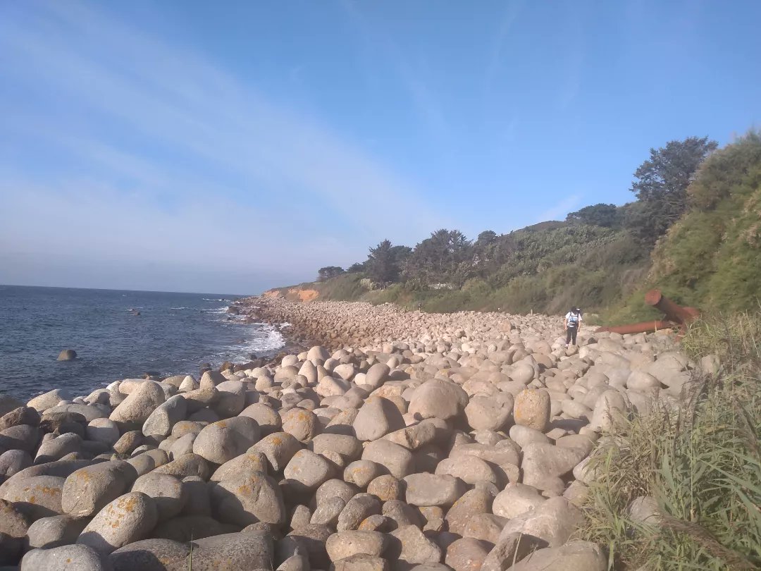 Joanna Harries tweet media