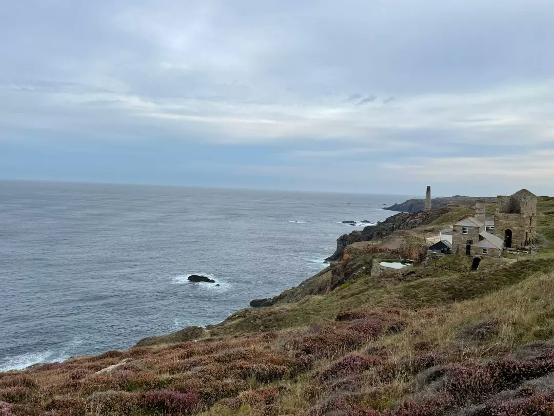 Joanna Harries tweet media