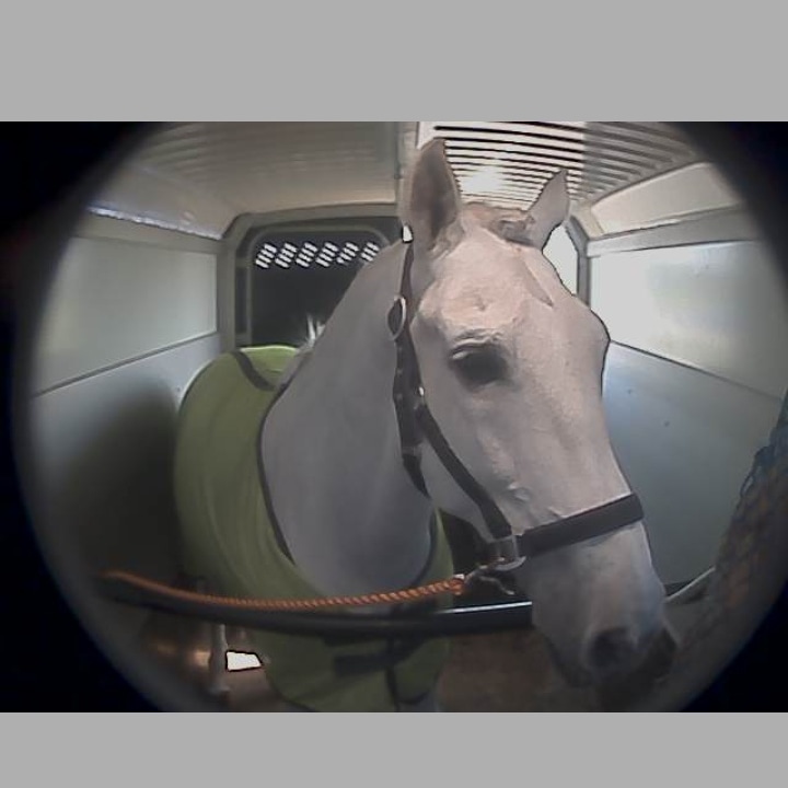 robdevoogdtrans.nl/advertentie.ht…