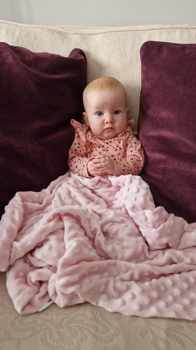 Lady Boss Bronwyn Rose ❤🌹