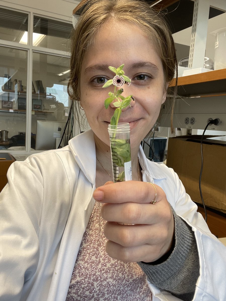 NordicJBotany's tweet photo. Check out the winner of our #Botany2022 drawing contest, @biosarita1 ! She studies the formation of the beautiful pigmentation in Mimulus pictus. Read more on our blog: https://t.co/j9ODDR872Z
@NordicOikos @WileyEcolEvol #plants #botany #ecology #mimulus https://t.co/zoOmQsfP9z