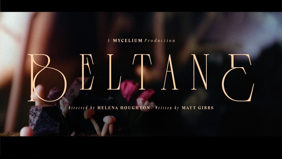 Beltane Animation tweet media