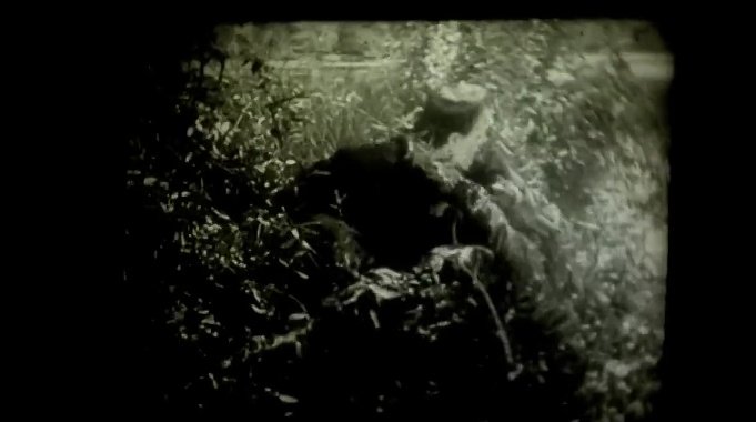 sinemanın hayal gücü üzerindeki etkisi 

the spirit of the beehive, dir. victor erice