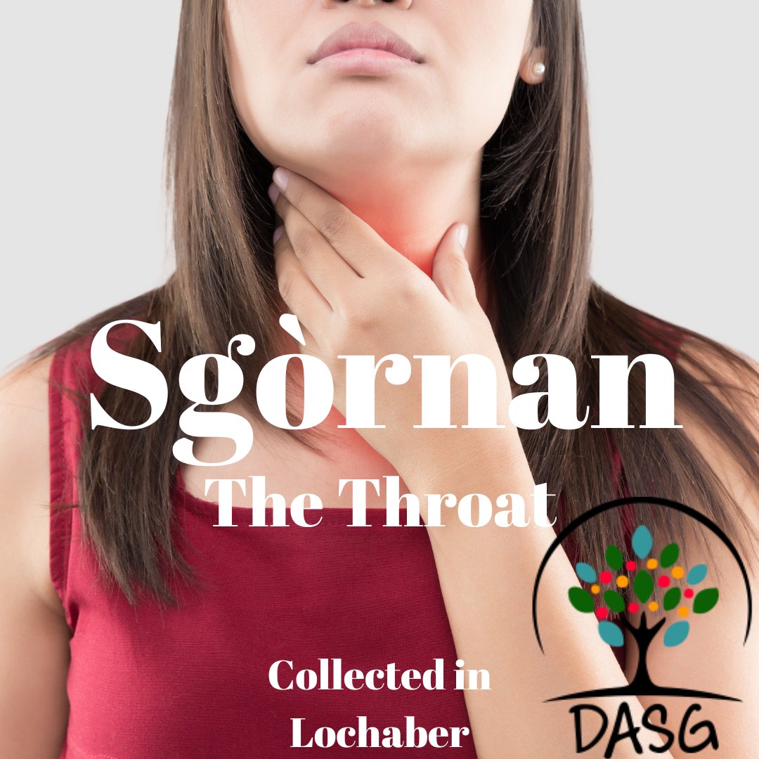 DASG_Glaschu's tweet photo. https://t.co/OYFfq7xWx6
👔
SGÒRNAN - THE THROAT
🧕
#Sgòrnan #Sgòrnach #Throat #Amhaich #Neck #Goirt #SoreThroat
🤒
#LochAbar #Lochaber #AnGearasdan #FortWilliam #Gàidhealtachd #Highlands
#Alba #Scotland
#Gàidhlig #Gaelic #ScottishGaelic
#DigitalArchiveofScottishGaelic #DASG https://t.co/zp2NjgpXYh