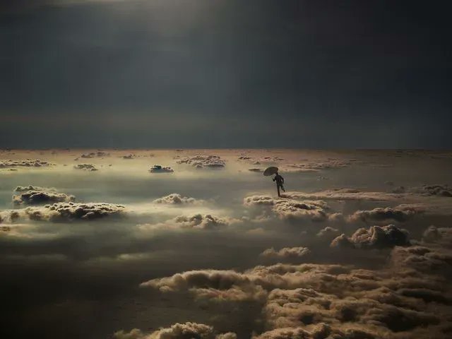 noveliciouss's tweet photo. “What interests me as a novelist is not the malevolence of man but his looniness.” 
—Walker Percy
#writing 
Kasia Derwinska https://t.co/m94DC0GQOg