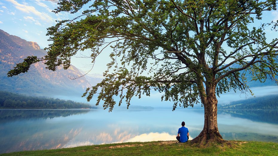 LectaGroup's tweet image. In a challenging world, we continue to transform our group. Determined, and step by step, we are building a better future. More in our Q2 2022 Interim Report
bit.ly/3KuAuia #lecta #interimreport #sustainablefuture