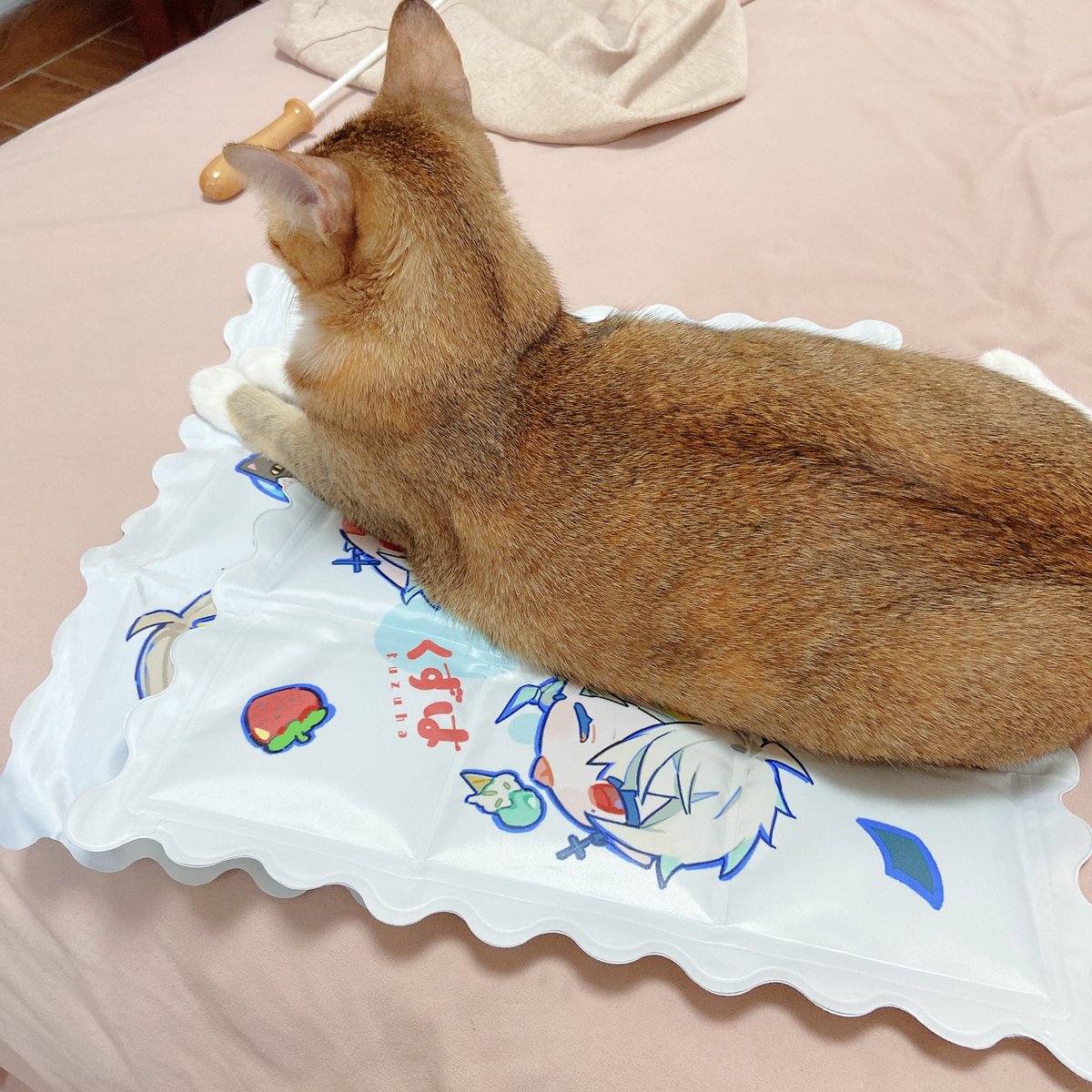葛葉(にじさんじゲーマーズ) 「ネコちゃん気に入っているみたい 」|午線のイラスト