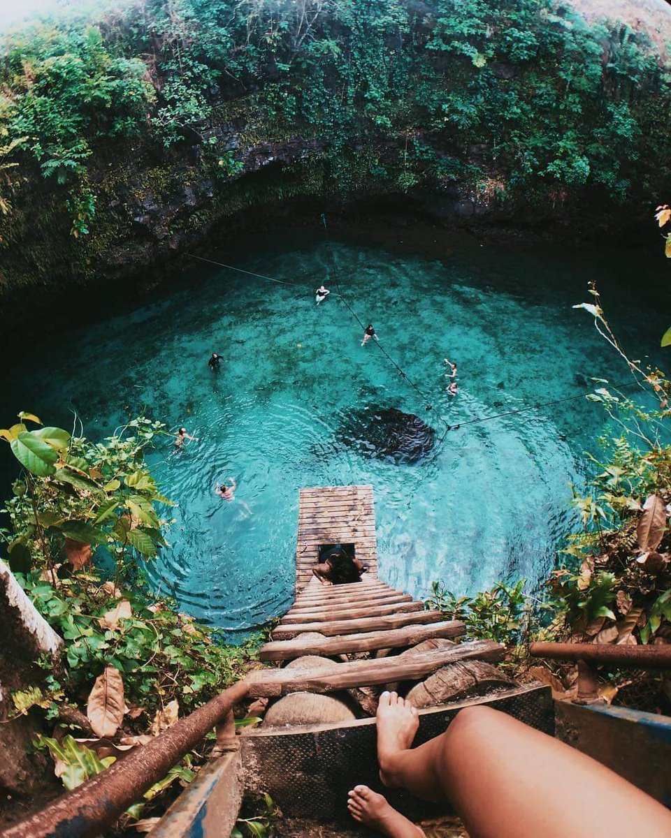 greencountrylk's tweet photo. Sua Ocean Trench, Samoa  🇼🇸

#Samoa #Trench #Travel #nature #wonderful #wonderfulPlaces #beautiful #NaturalBeauty #naturalpool #naturelovers #NaturePhotograhpy #greencountry  #bluewater #adventure  #adventureactivity #Swimming #swimmingpool #amazing #neverseen #earth #peaceful https://t.co/IMCGBPswjz