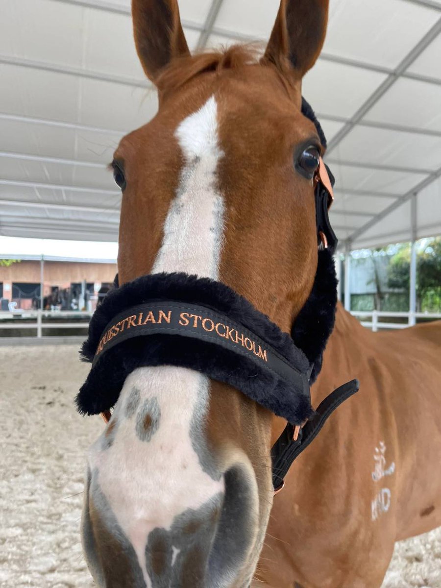 “Chasing freedom”