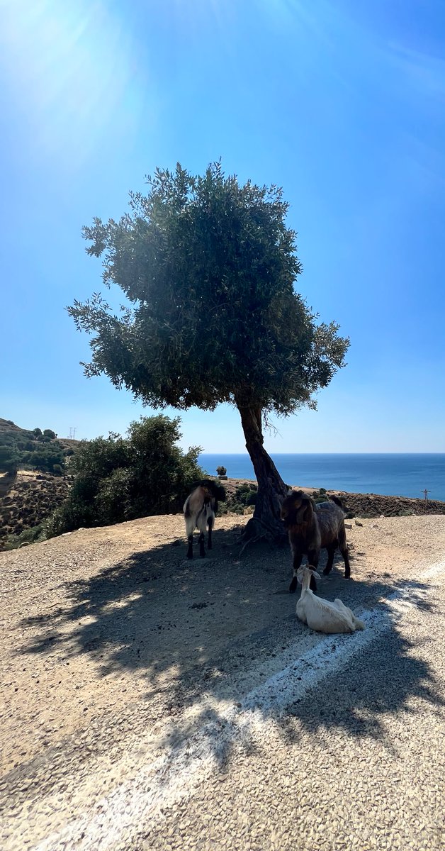 MCouple34's tweet photo. Have a nice day 🌤🏝 https://t.co/zgHJBLekuC