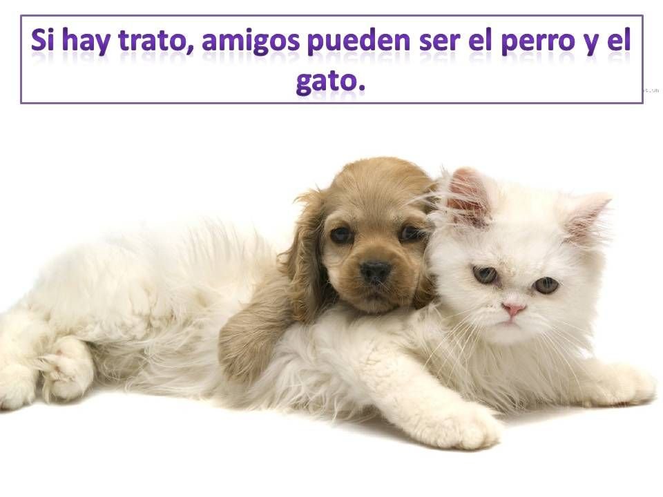 eHealth (@mdtsalud) on Twitter photo 