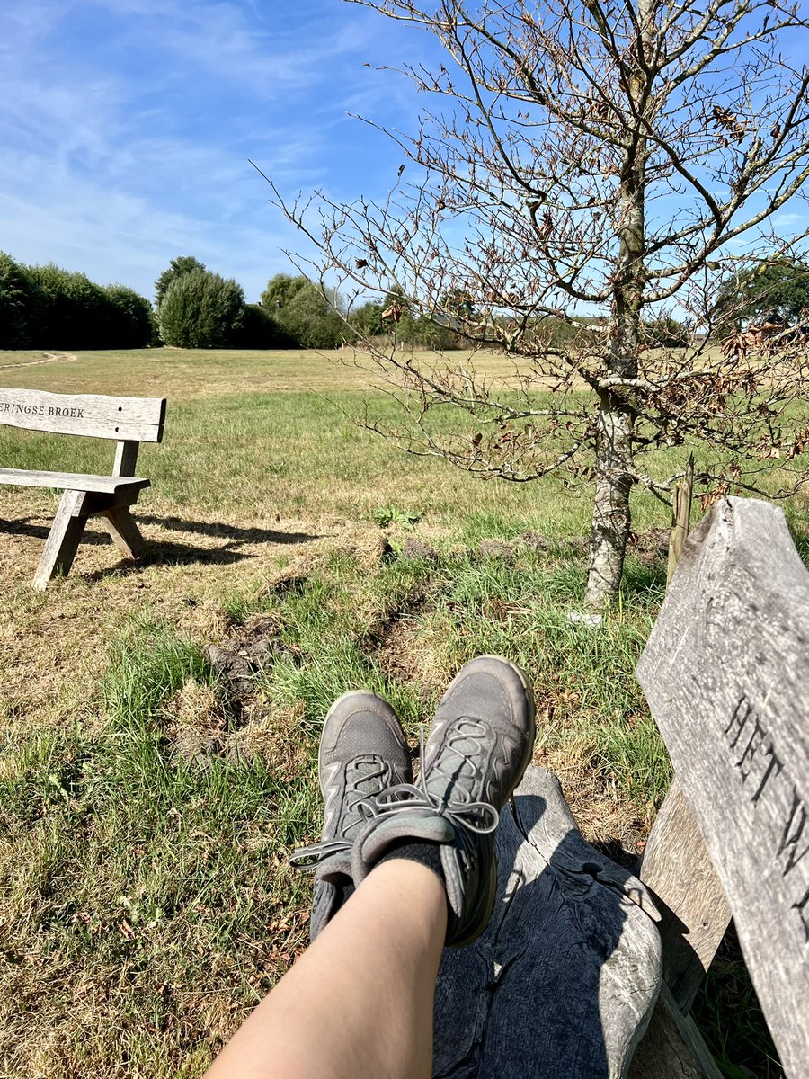 Emmetjes's tweet photo. Een prima plekje om even te mediteren 🧘‍♀️ #mindfulness #ademhalen #hierennu #wandeltweet https://t.co/ptWUReVUcJ