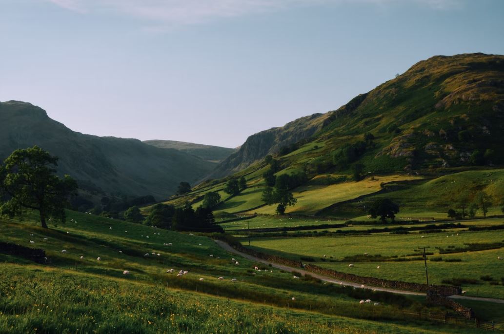 TheHolidayCots's tweet image. October dates available 15th-21st October £400. 28th October-4th November £420 at High Wallabarrow Cottage.
🛌Sleeps 1-5
theholidaycottages.co.uk/Cumbria/2812 
#Ulpha #BroughtoninFurness #Cumbria #HolidayCottage #LakeDistrictNationalPark #Walking #HiddenJewel #Unspoilt #Remote #Availability