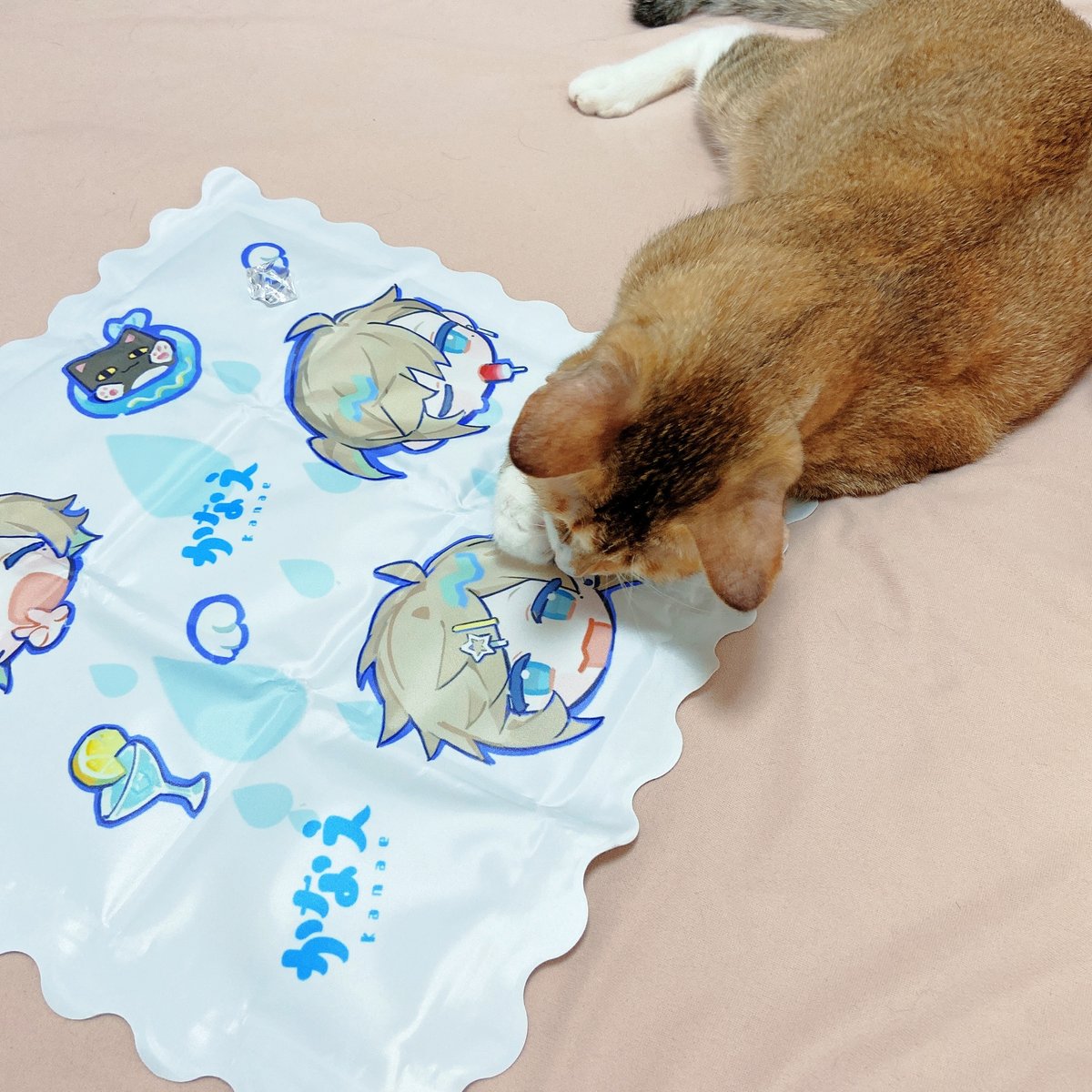 葛葉(にじさんじゲーマーズ) 「ネコちゃん気に入っているみたい 」|午線のイラスト
