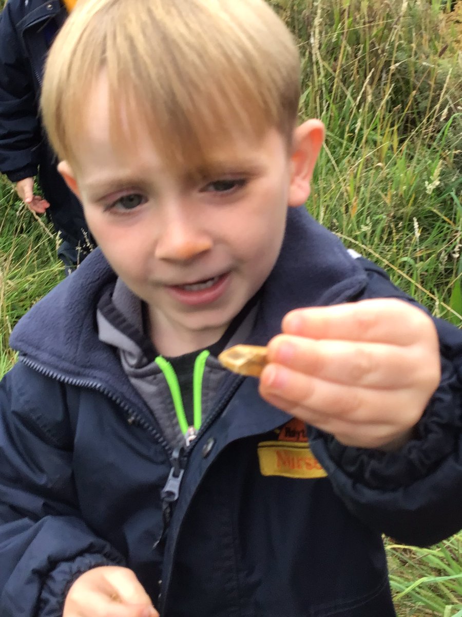 HolytownNC's tweet image. We then spotted some dinosaur teeth in our fairy garden!!! C- ‘the teeth were pointy’ G-‘ the teeth smelled yucky!🤢 #usingourimagination#earlyyears