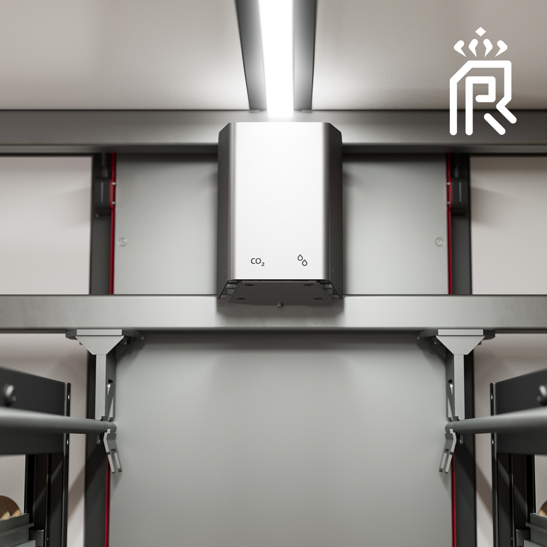 Royal Pas Reform tweet media