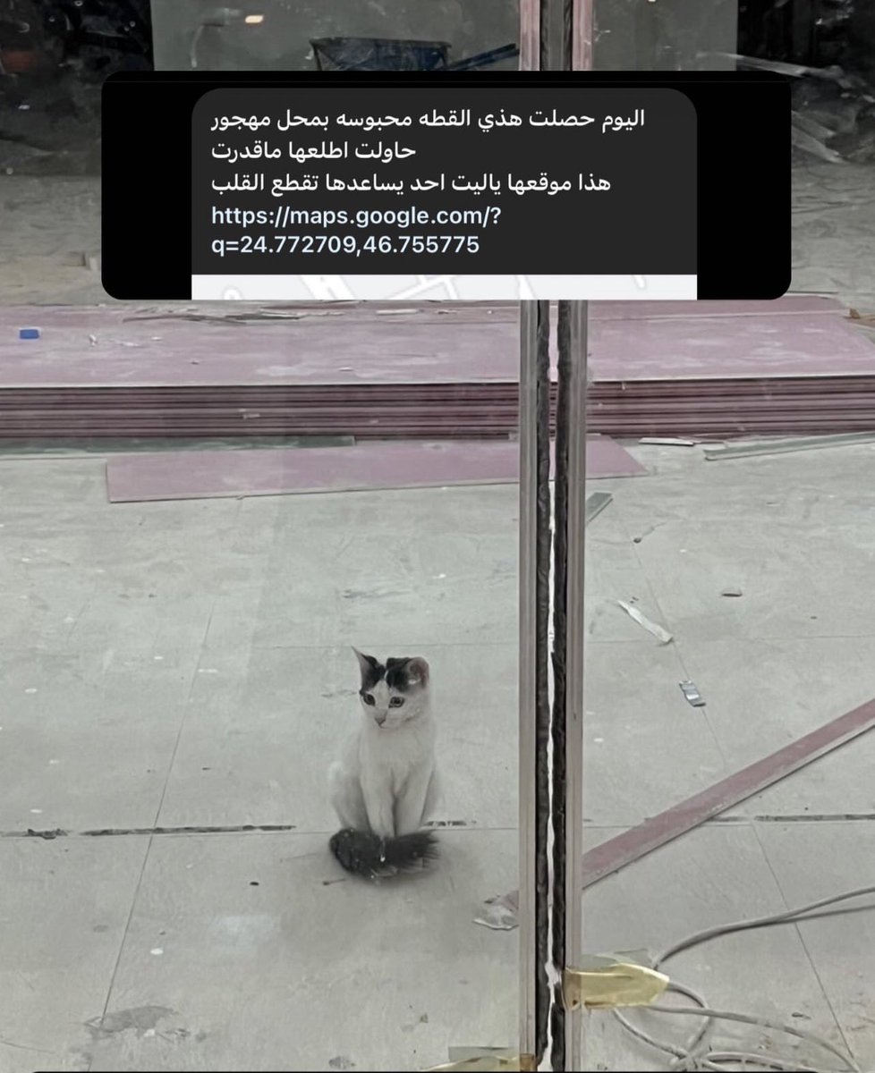 Haeo_1's tweet photo. ( الرياض ) كما وصلني اليوم حصلت هذي القطه محبوسه بمحل مهجور 
حاولت اطلعها ماقدرت
هذا موقعها ياليت احد يساعدها تقطع القلب
إذا يقدر أحد يشوفها ضروري أو يكلم الدفاع المدني
#انقاذ #قطط_الرياض 

https://t.co/qTGMhm8rjG https://t.co/PhOsjBTotI